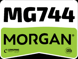 Morgansementes GIF by Longping High Tech