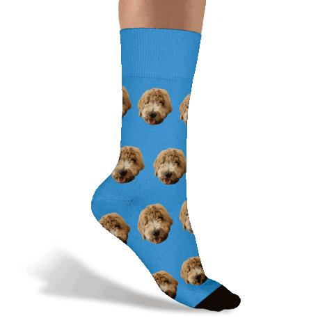 Sockclubdesignlab Sticker by Sock Club