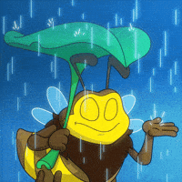 Raining Rainy Day GIF by BRAVO READY