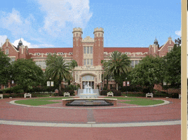 fl state college GIF by Florida State University