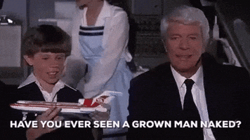 Airplane Movie GIF by memecandy