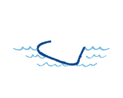 Surfing Surfschool Sticker by ISOLASURF