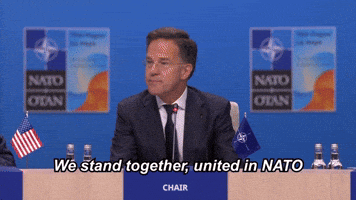 Strongertogether Otan GIF by NATO