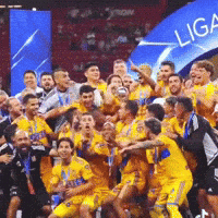 Liga Mx Tigres GIF