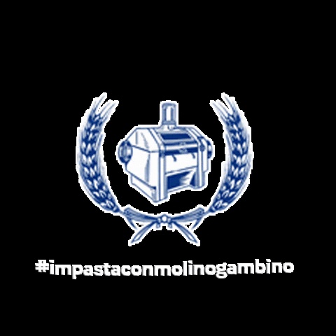 Molino Gambino GIF