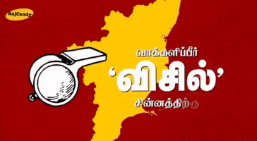 Election Win GIF