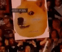 Doge Dogecoin Gif Find Share On Giphy
