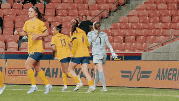 Save Lets Go GIF by National Women's Soccer League
