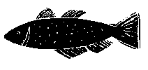 ByRuby Sticker