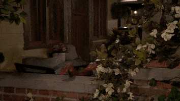 Spying Tichina Arnold GIF by CBS