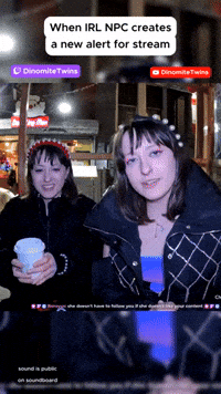 Unexpected IRL NPC interaction on stream