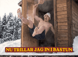 Bastu GIF by AO