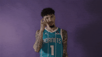 Lamelo Ball Basketball GIF by Charlotte Hornets