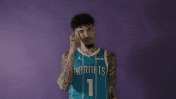 Lamelo Ball Basketball GIF by Charlotte Hornets