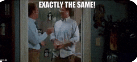 Exactly The Same GIF