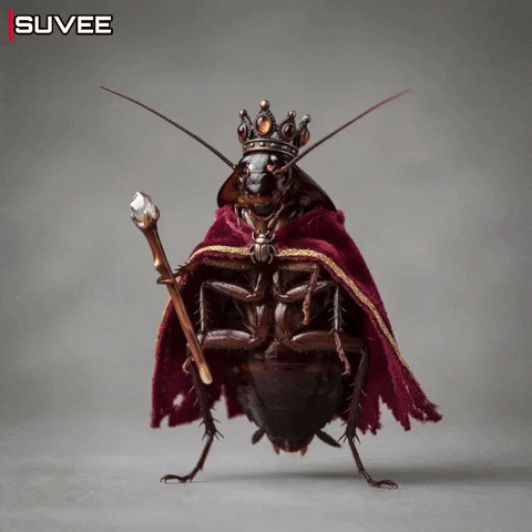 Party Cockroach GIF
