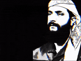 Syria Wael GIF