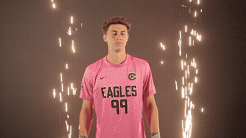 Bow And Arrow Goalkeeper GIF by Carson-Newman Athletics