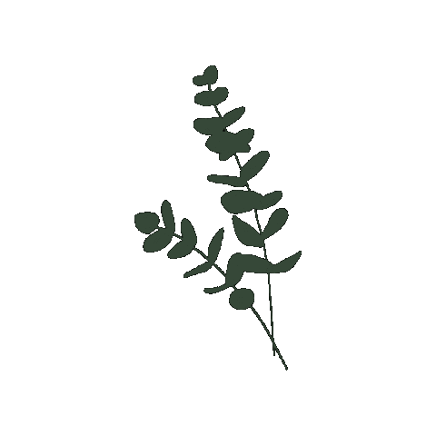 baumspatz Sticker