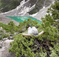 Ulkantoglar GIF