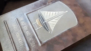Hive GIF