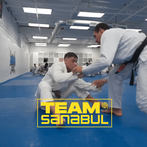 Mma Bjj GIF by Sanabul