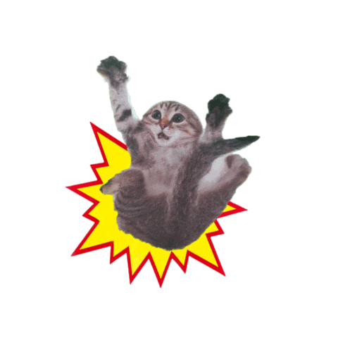 Cats Drop Sticker by Marathon Artists
