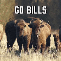 Buffalo Bills Sport GIF by Sealed With A GIF