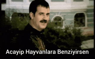 Huseyin Turan GIF