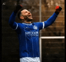 TSV Wendlingen 1920 e.V. GIF