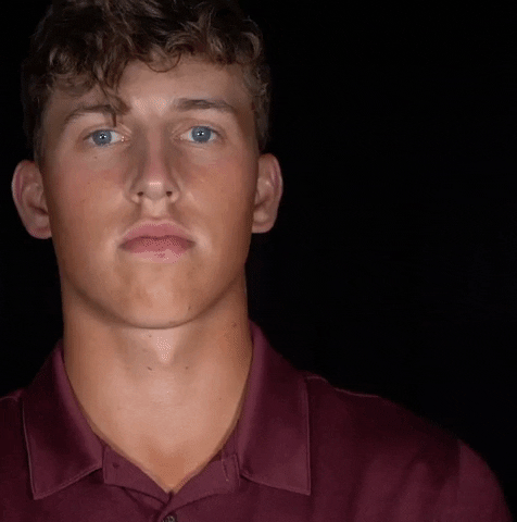GIF by Little Rock Athletics