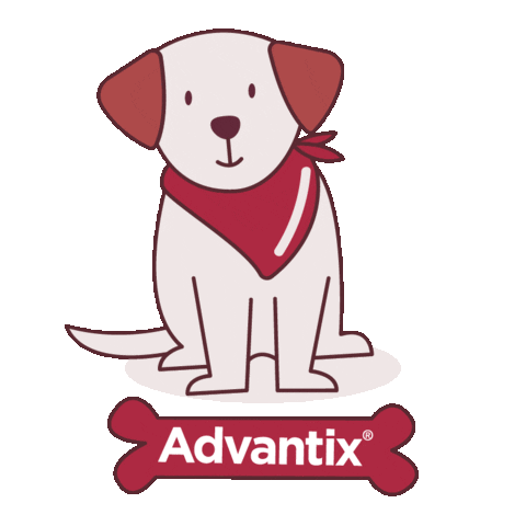 Advantix España Sticker