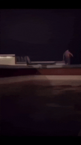 Student GIF by lpnu