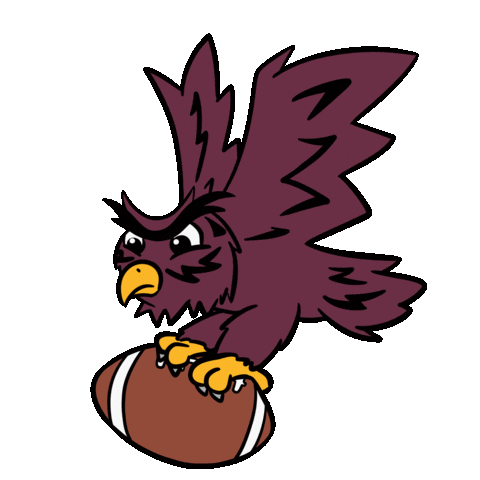Football Art Sticker by Winnie Gu 顾韵昀