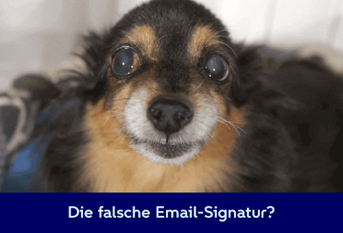 How to make GIFs for Email Signatures