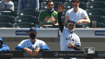 New York Sport GIF by MLB