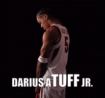 Arkansas Razorbacks GIF