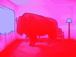 animation bison GIF by weinventyou