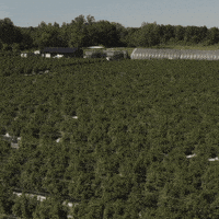 Plant Grow GIF by Exclusive Brands