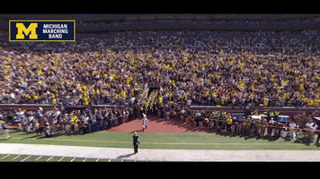 Go Blue Michigan Football GIF by Michigan Marching and Athletic Bands