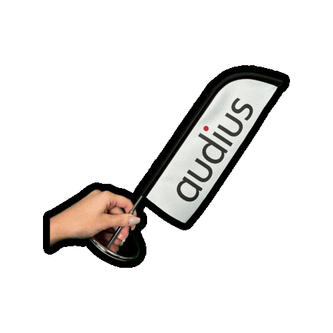 Flag Sticker by audius group