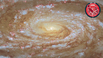 Stars Glow GIF by ESA/Hubble Space Telescope