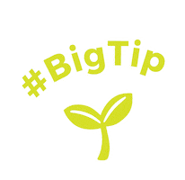 Bigseed Sticker