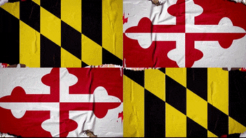 Maryland Football GIF by Maryland Terrapins