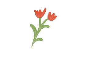 Summer Love Sticker by RESA