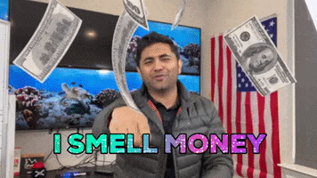 Show Me The Money GIF by Satish Gaire