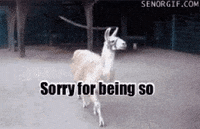 Not Sorry For That Botch No Way GIF - Not Sorry For That Botch Not Sorry No  - Discover & Share GIFs