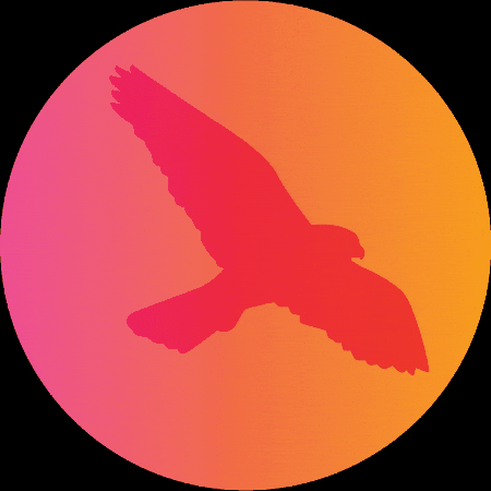 GIF by Bentley University