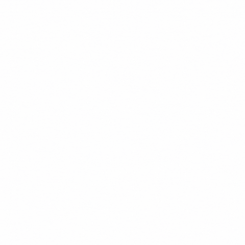 Festival of Small Halls GIF