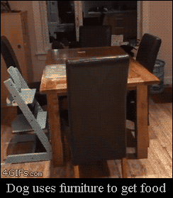 https://media3.giphy.com/media/V9NhQgM7yMMTK/giphy.gif
